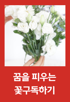 꿈을 피우는 꽃구독하기