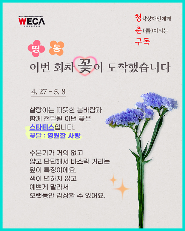 이번회차 꽃구독 메인꽃인 스타티스의 꽃말은 영원한 사랑입니다