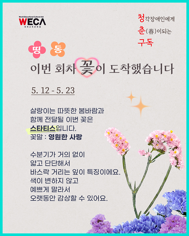 청춘구독 5월 둘째주 꽃말카드 스타티스