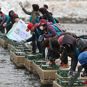 ‘Anyangcheon EM mud ball throwing’ event to save the river