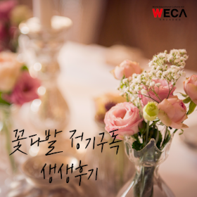 World Educational Cultural Aid | ‘You are more beautiful than flowers’ bouquet subscription ???? Live review! (made in Ulsan country mouse)