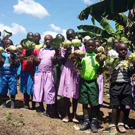 Uganda We School School Life